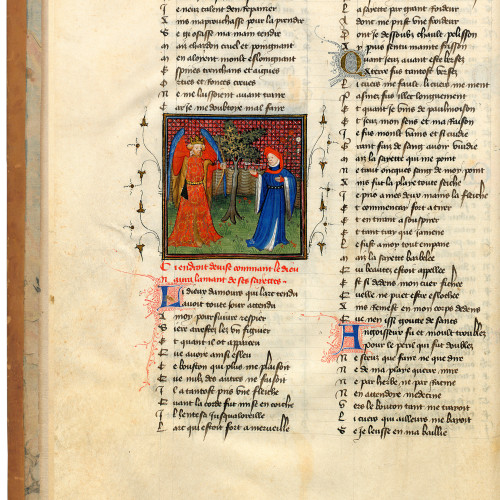 Fol. 14v : Le dieu d'Amour décoche ses flèches à l'Amant
 