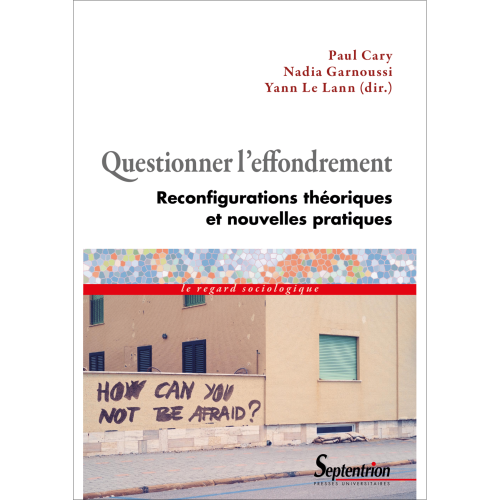 Paul Cary, Nadia Garnoussi, Yan Le Lann, Questionner l'effondrement. Reconfigurations théoriques et nouvelles pratiques, 2022