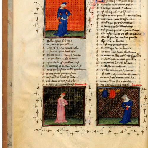 Fol. 2v : Figures allégoriques — Félonie — Convoitise — Avarice